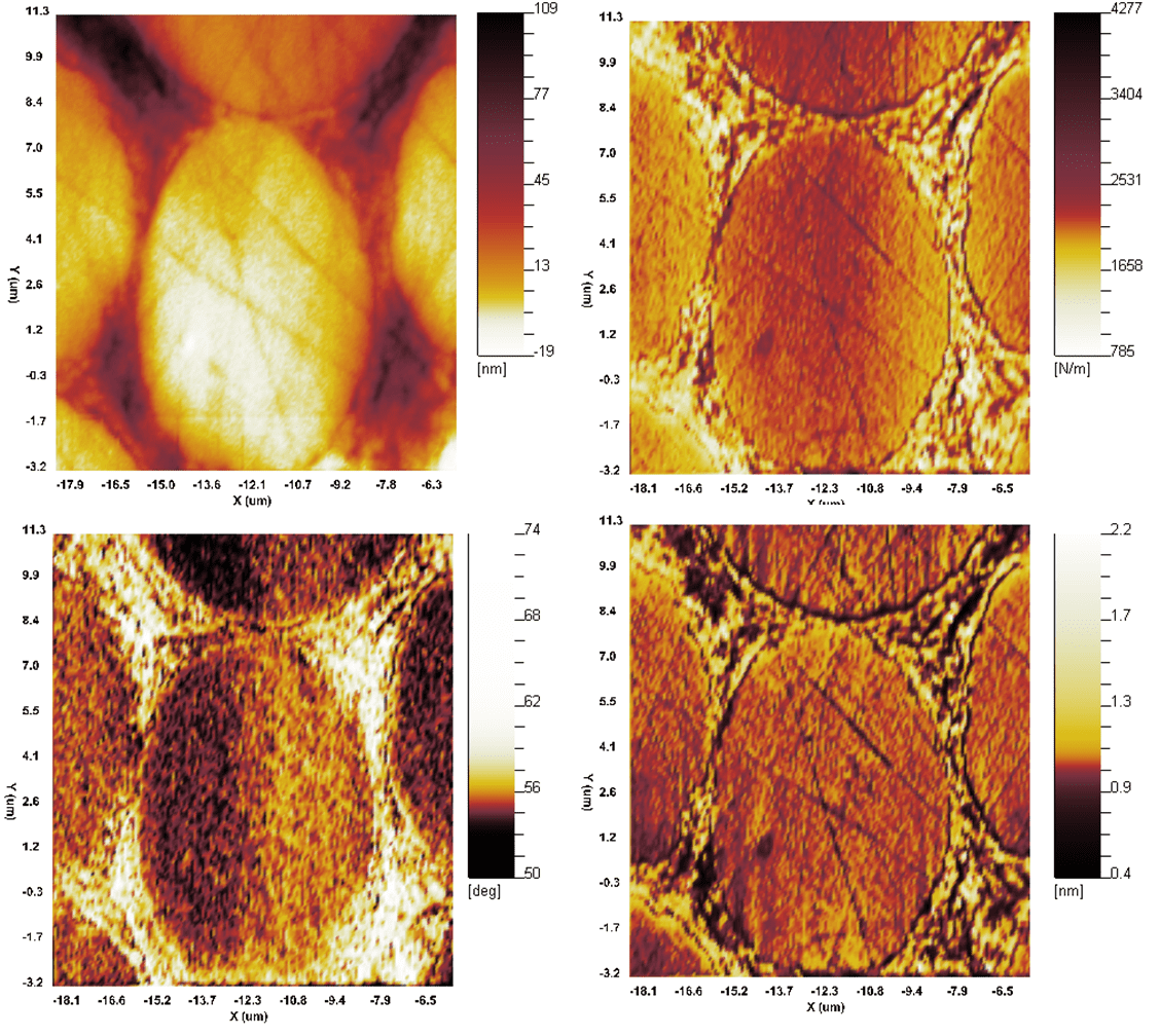 Nanovision option