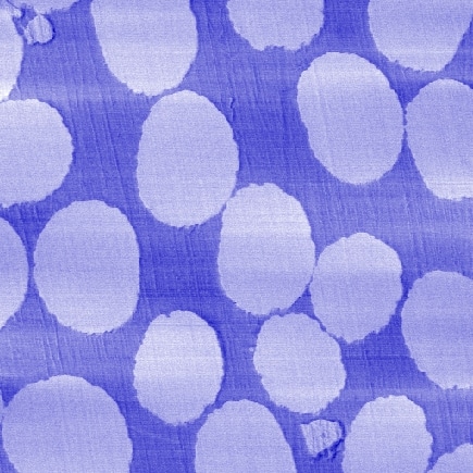 Carbon Fibers in epoxy, Force modulation mode, 30µm