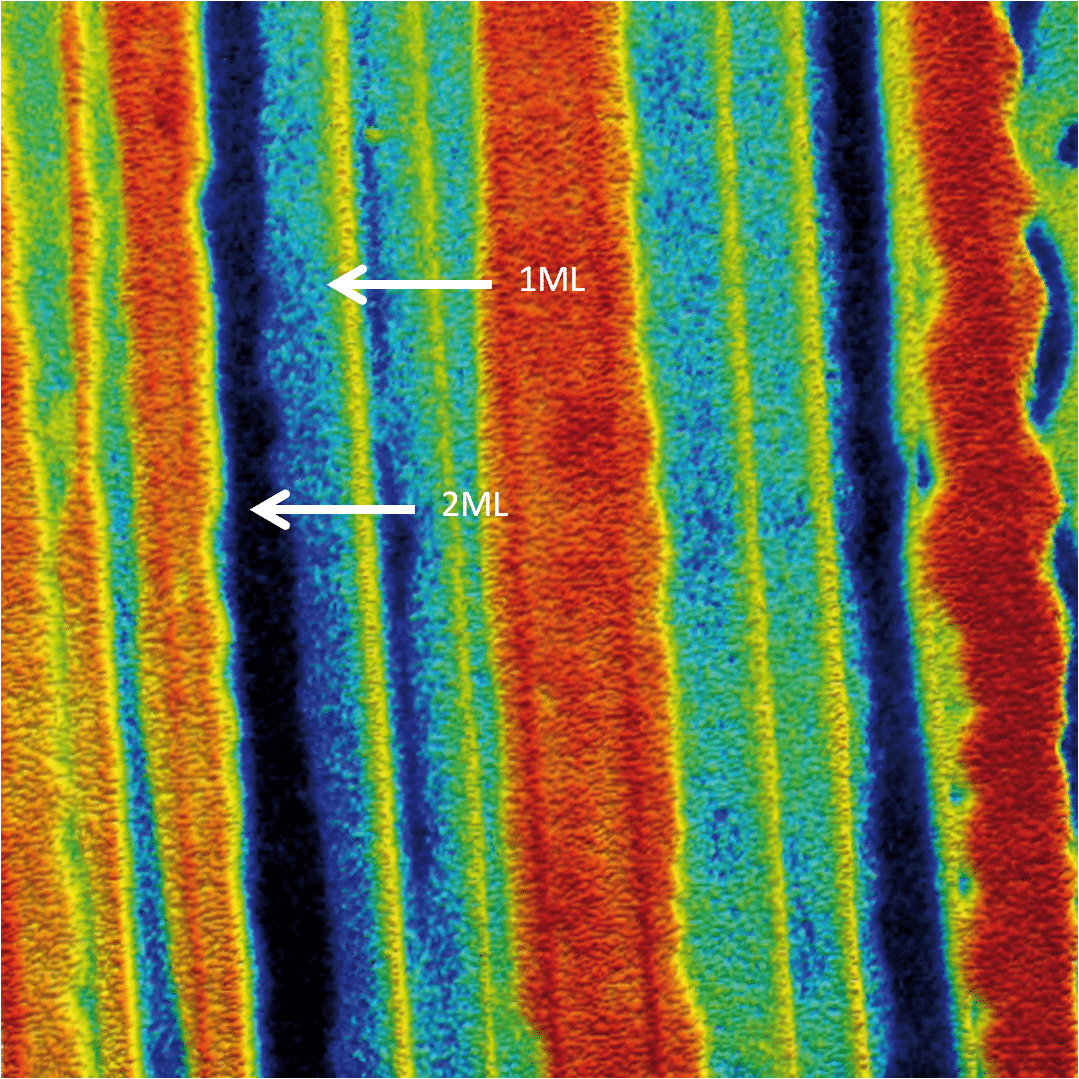 Surface potential, Graphene, 8μm