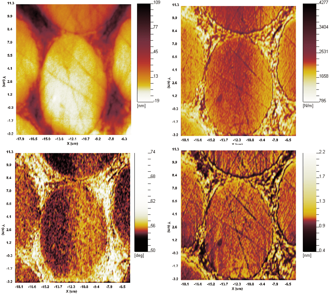 Nanovision option Nanovision option