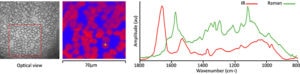 Simultaneous sub-µm IR and Raman microscopy